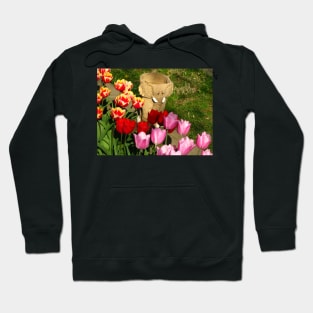 In the garden Hoodie